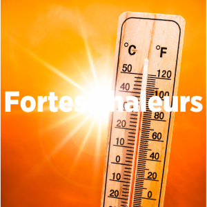 FAQ spéciale canicule